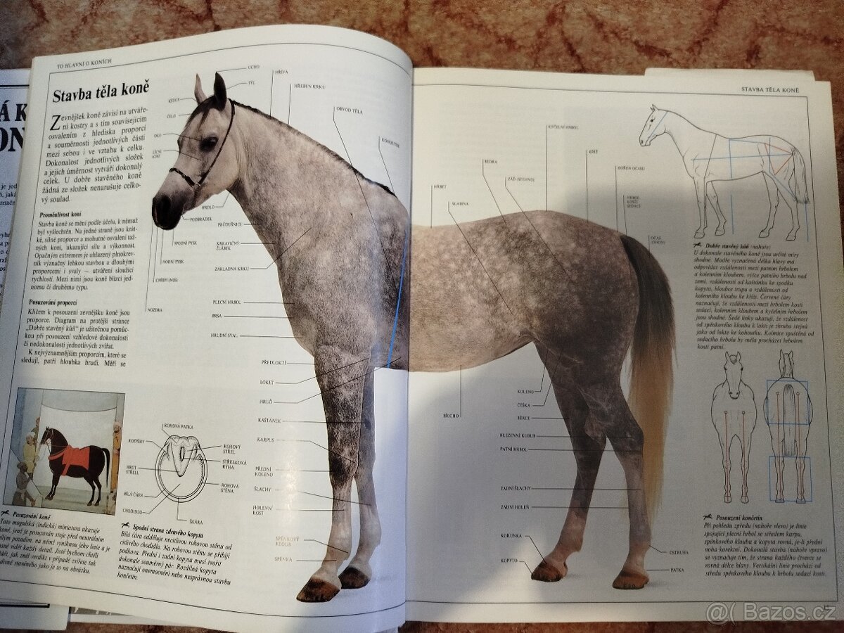 Knihy o koních.. - 2