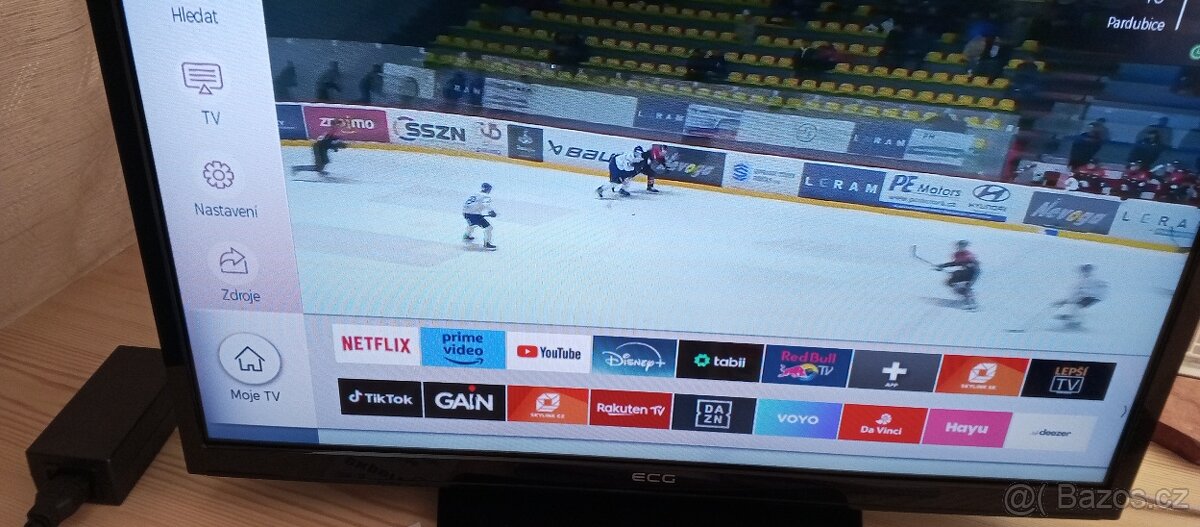 LED TV ECG 24HSL231M - 2