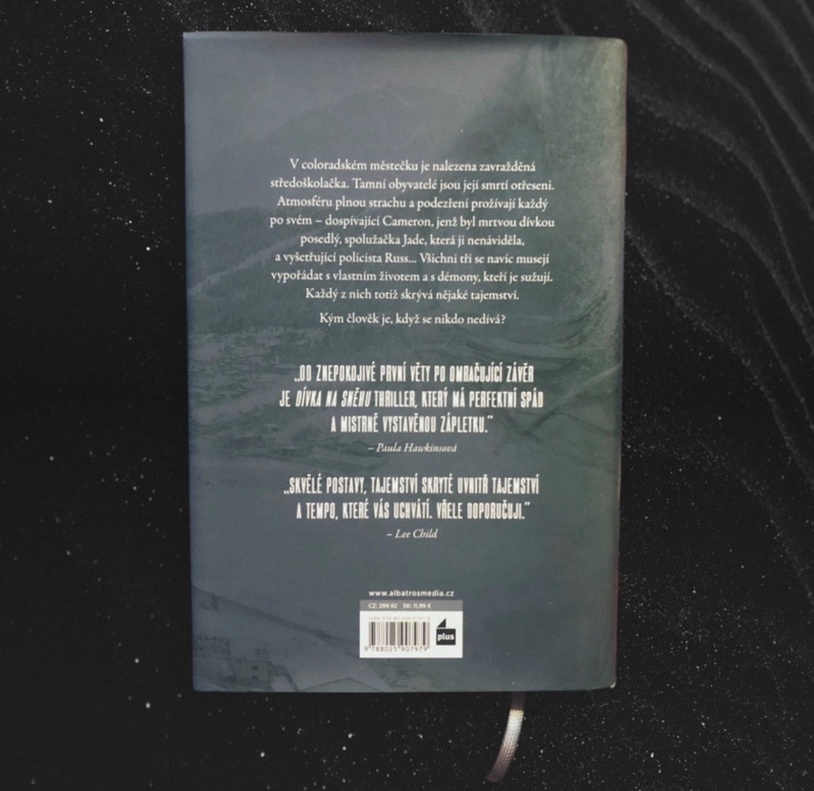 Dívka na sněhu - 2