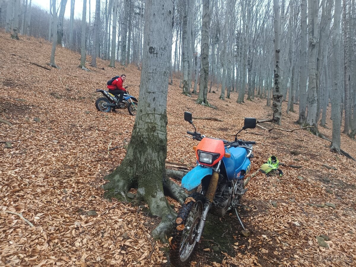 Honda nx 650 Dominator 1993