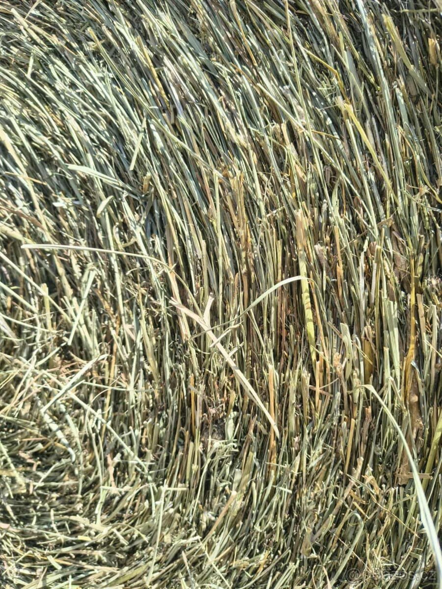 Seno z jetelo-trávy - 2