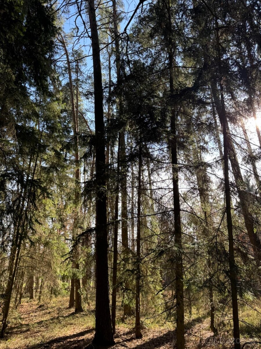 Prodám pozemky v katastrálním území Nemějice - 2