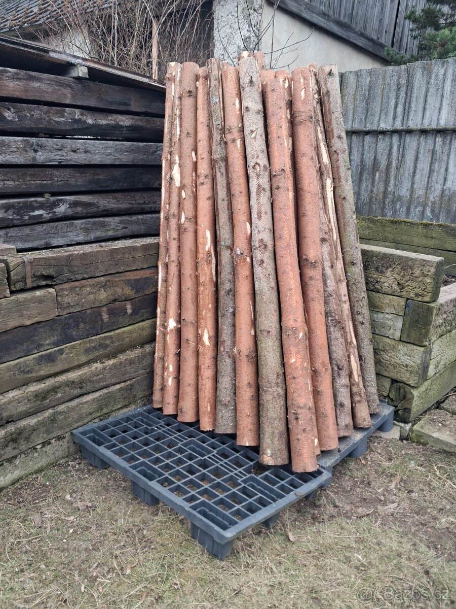 Dřevěné kůly, oplocenka - 2
