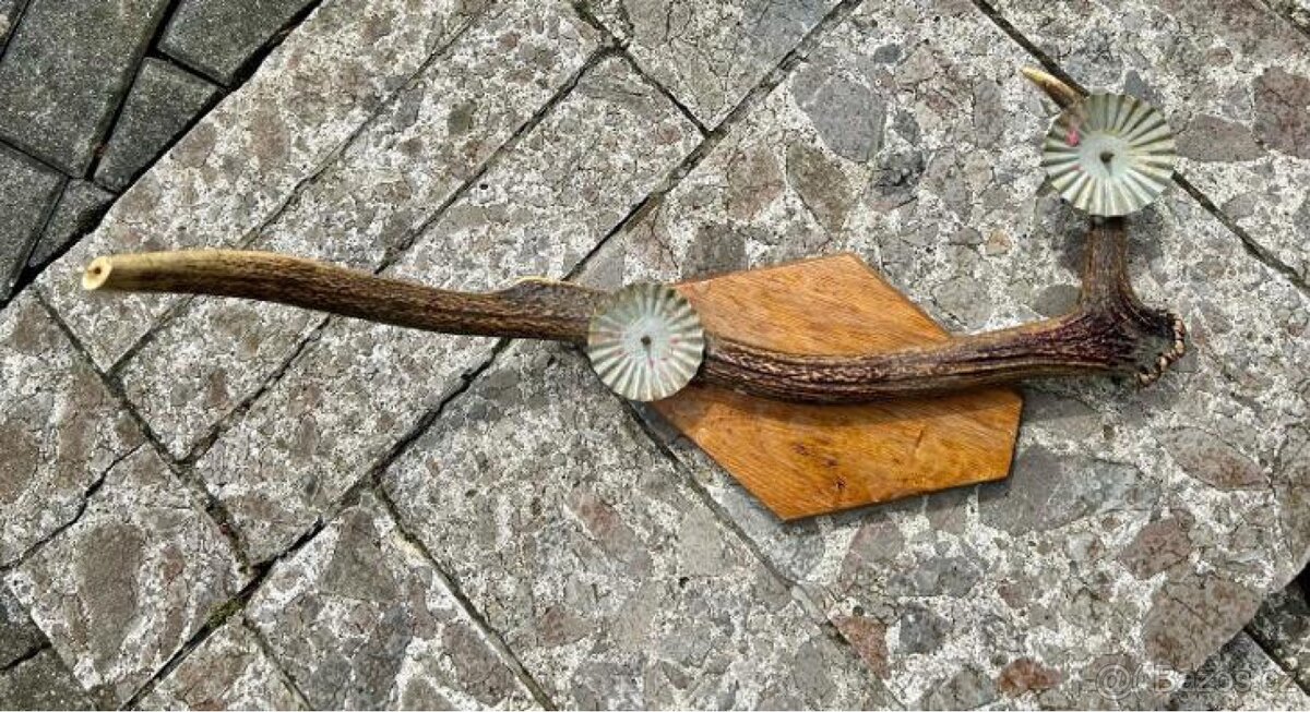 Paroží, paroh, svícen - 2