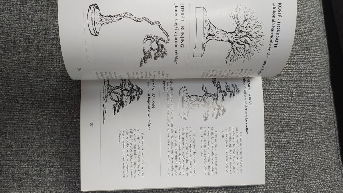 Bonsai nejen v paneláku - 2