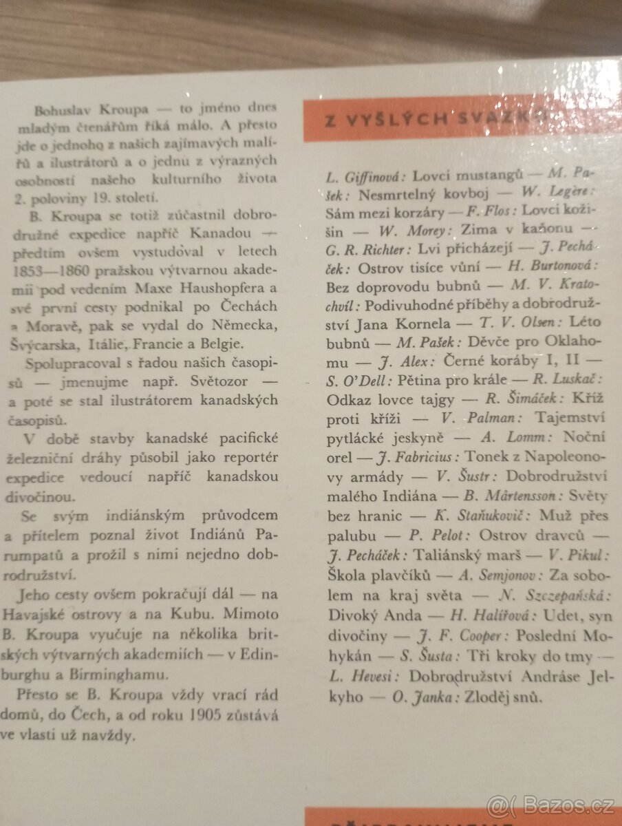 Kniha Zloděj snů - 2