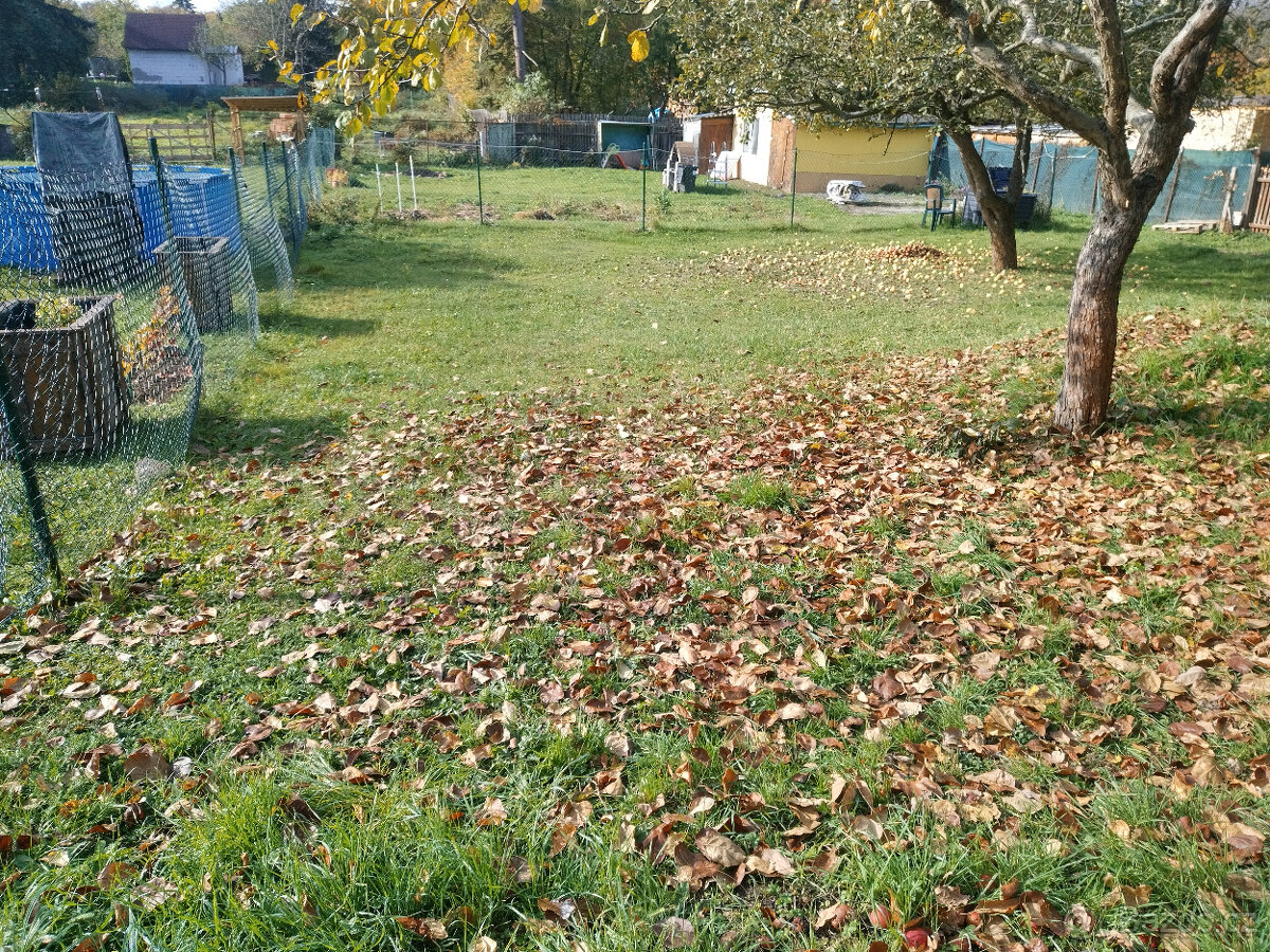 prodej zahrady - 2