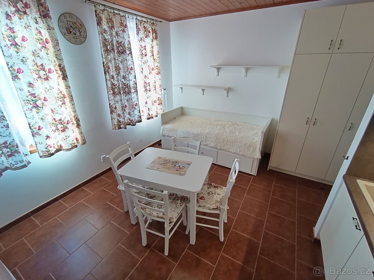 Pronájem 1+kk, Medlov, Brno - venkov - 2