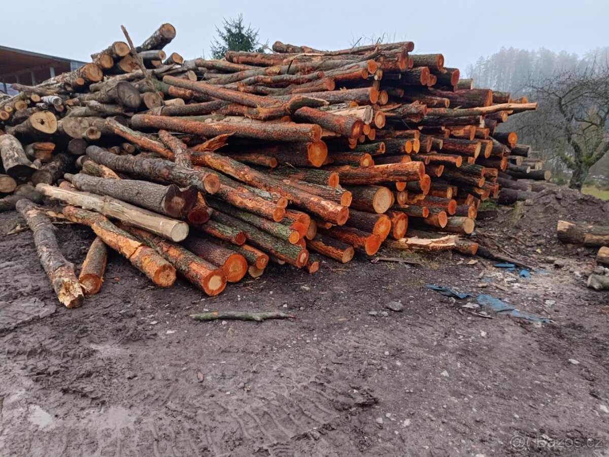 Palivové dřevo v kladách - 2