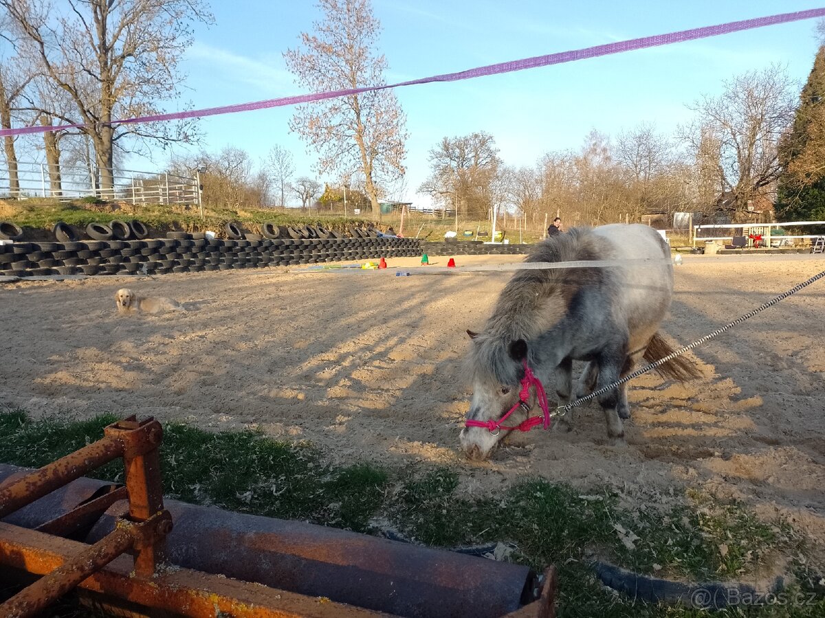 Hledám pony - 2