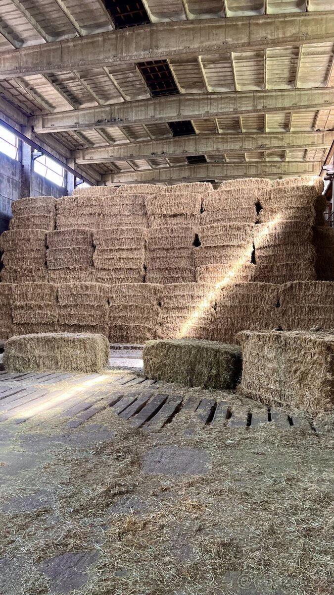 Seno - hranaté balíky - 2