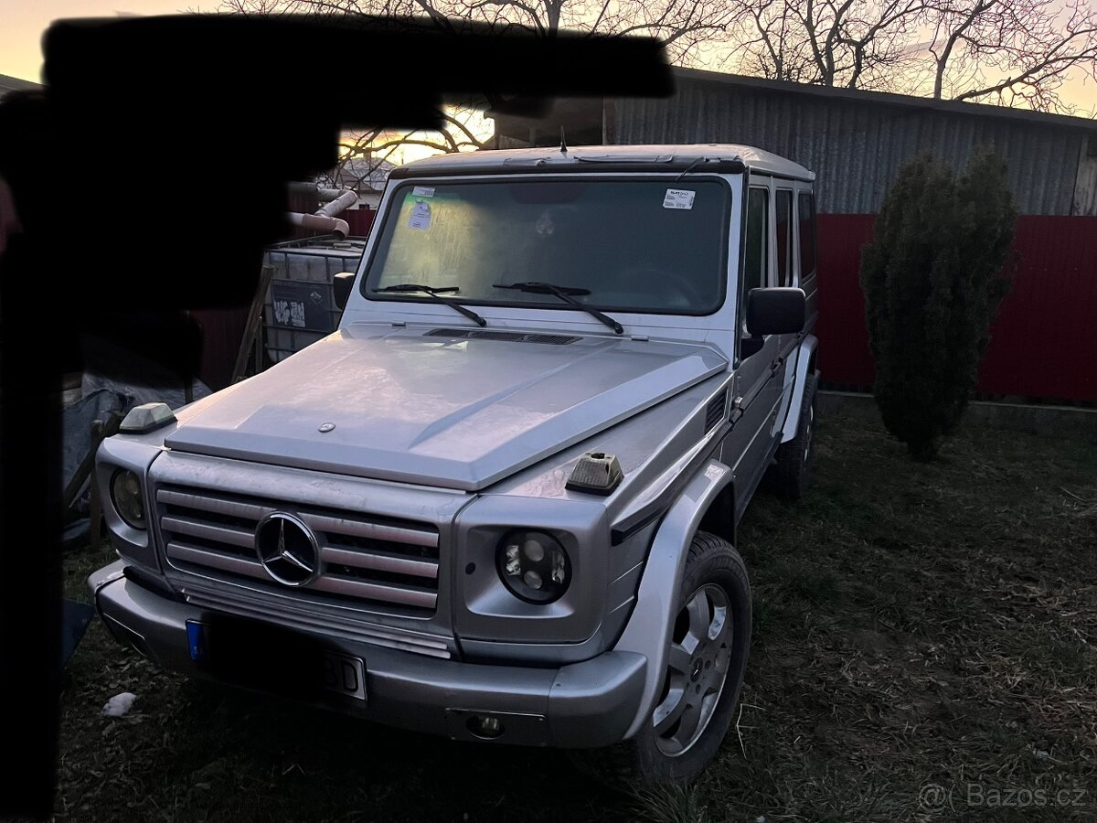 Mercedes G w463