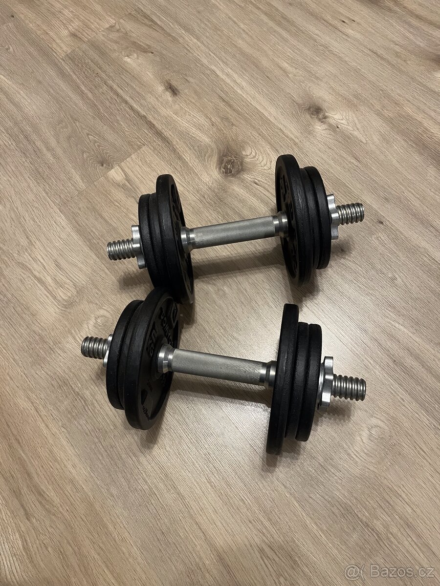 10kgx2 Weights - 2