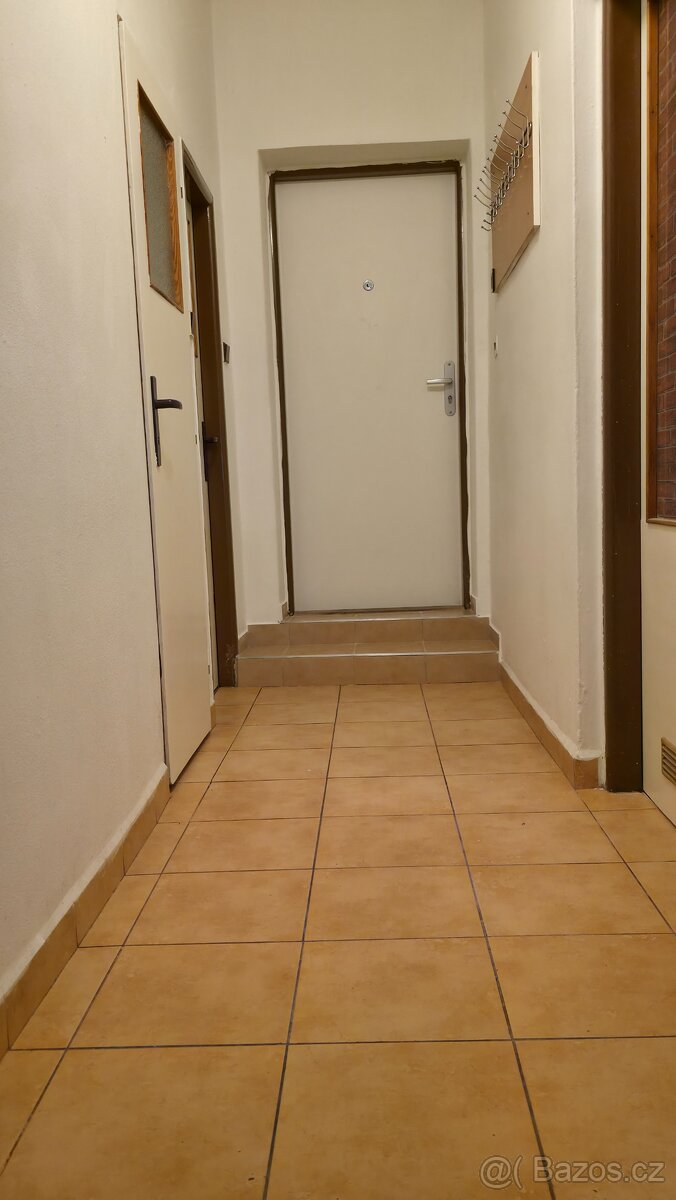 Pronájem bytu 3+1 - 2