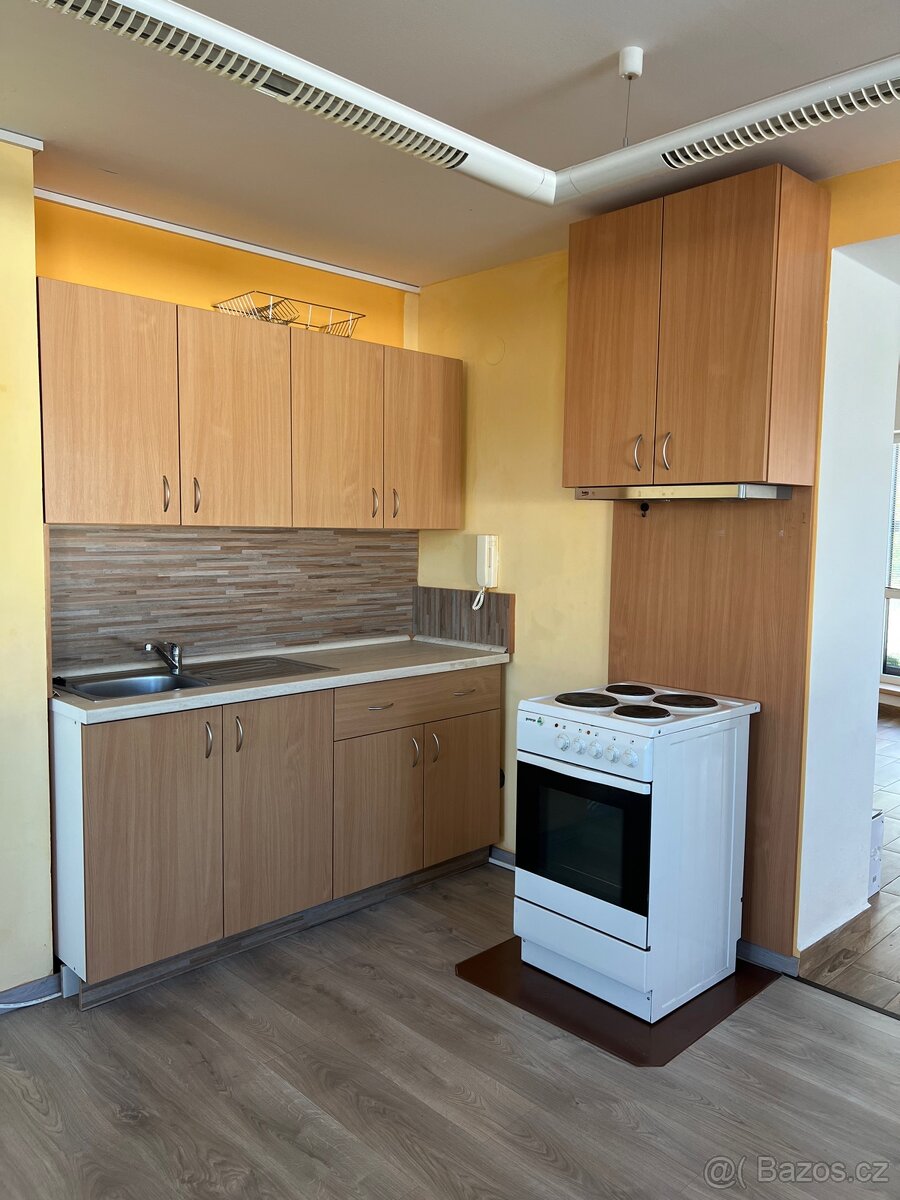 Pronájem bytových a nebytových prostor - 2