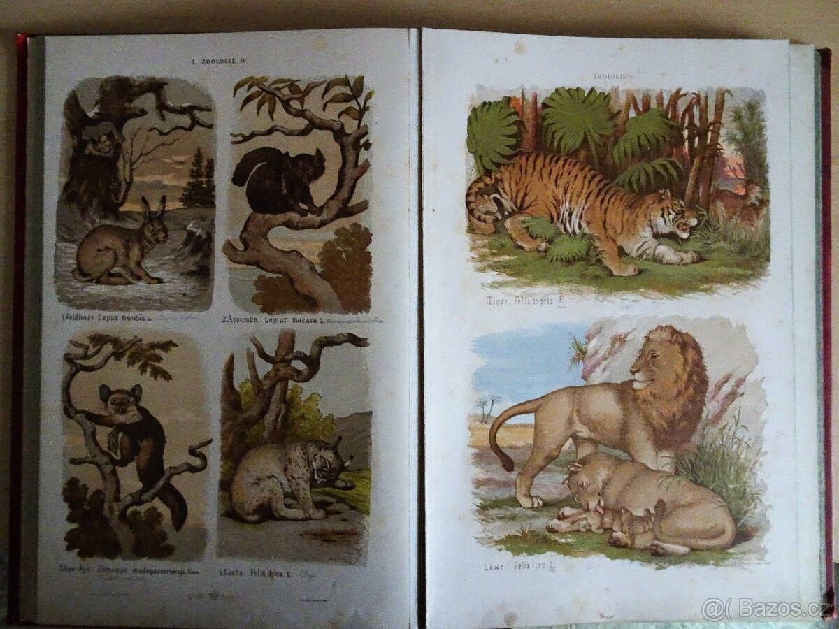 GROSSER HANDATLAS - 2