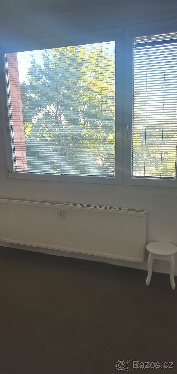 Pronájem bytů. - 2