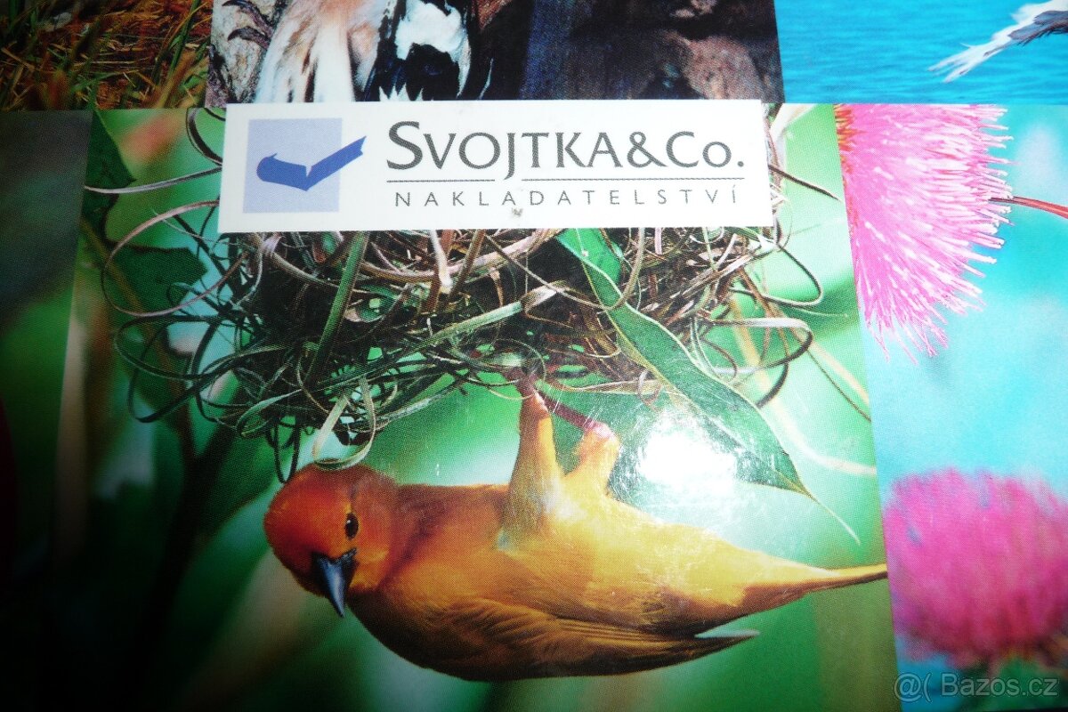 kniha 1000 ptáků - 2