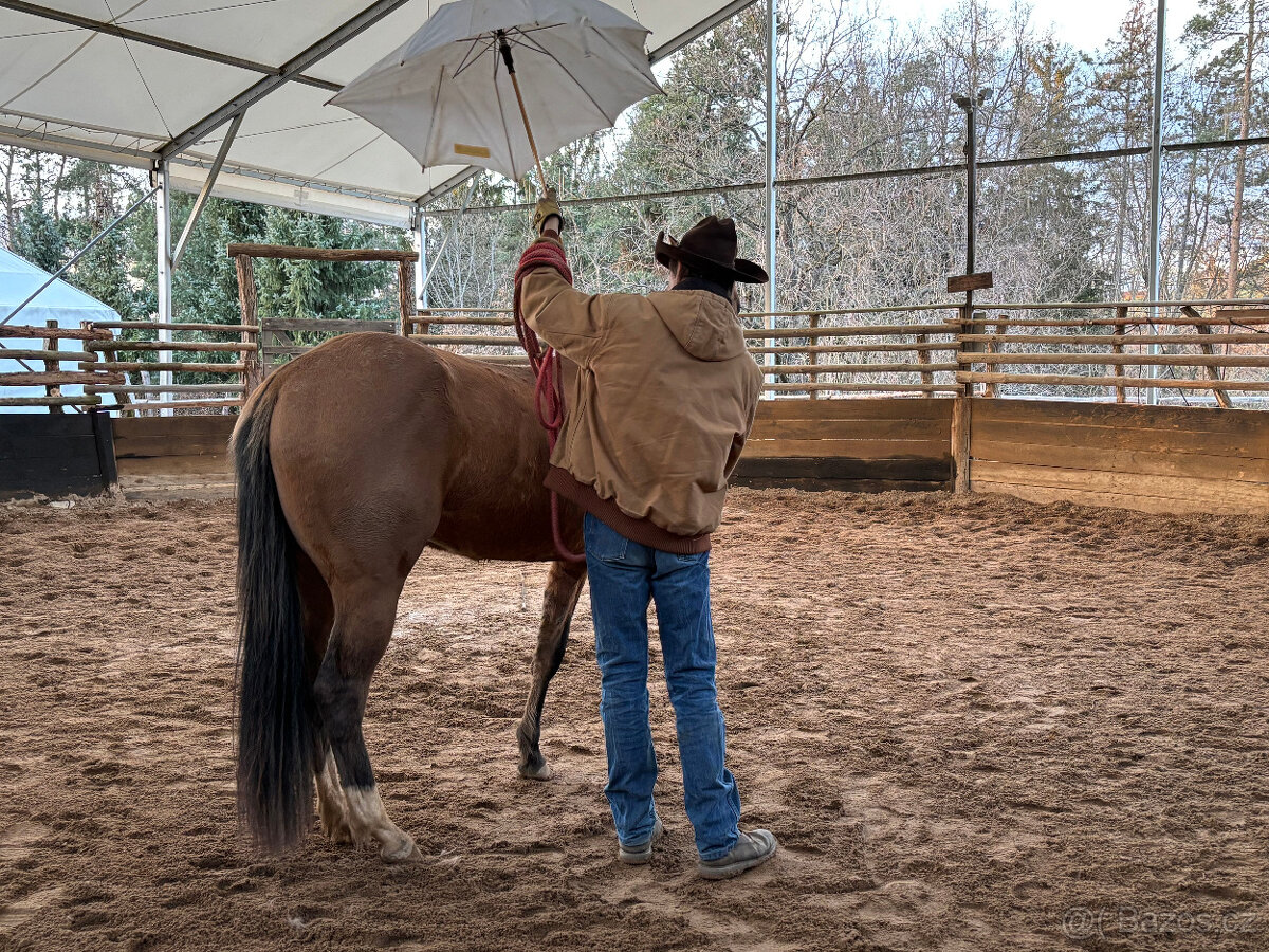 Obsedání koní - 2