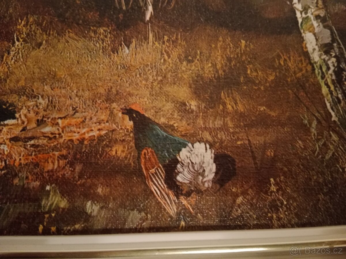 Tetřevi na vřesovišti - 2