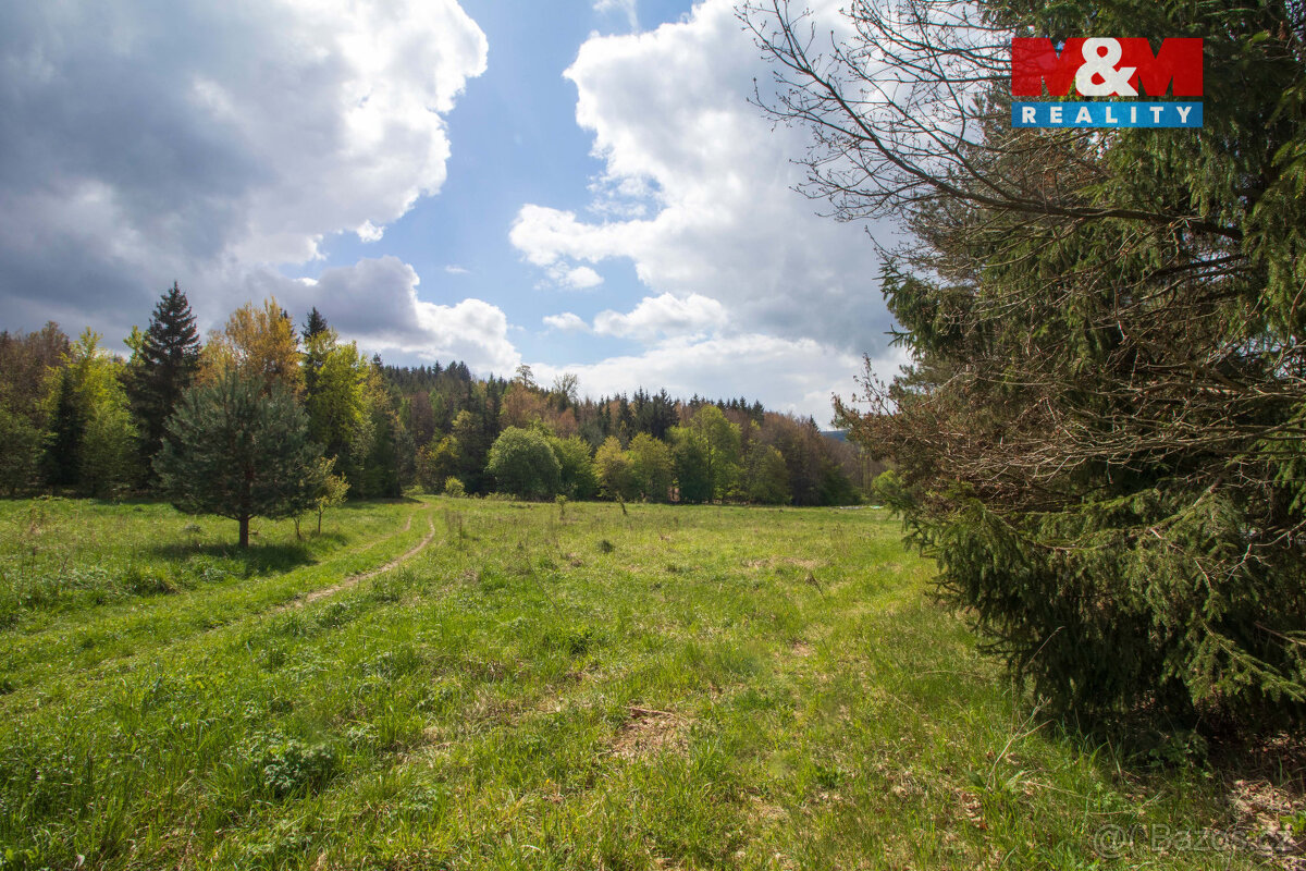 Prodej louky, 3586 m², Velenov - 2