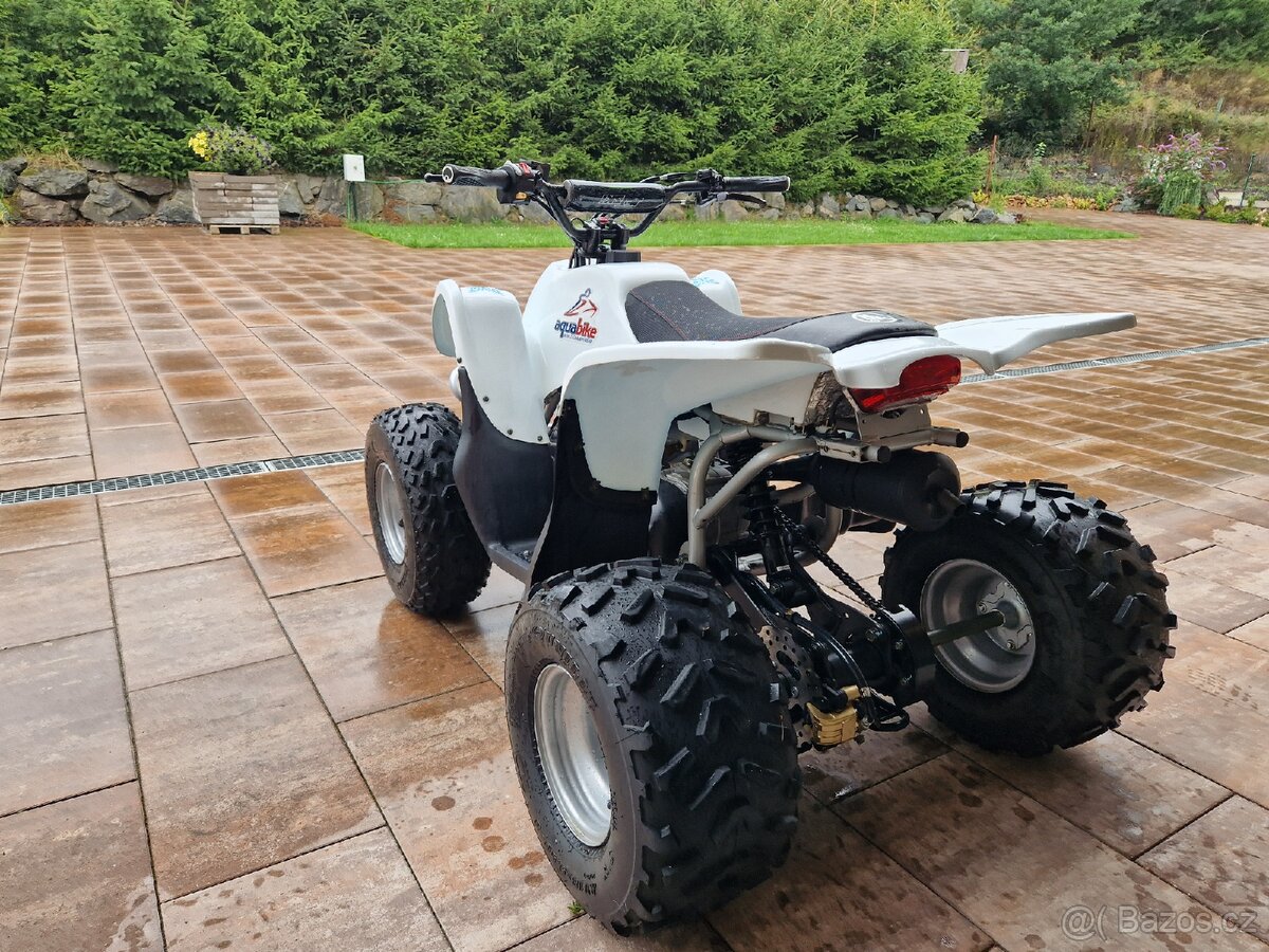 Dětská čtyřkolka ACCESS DDR 100