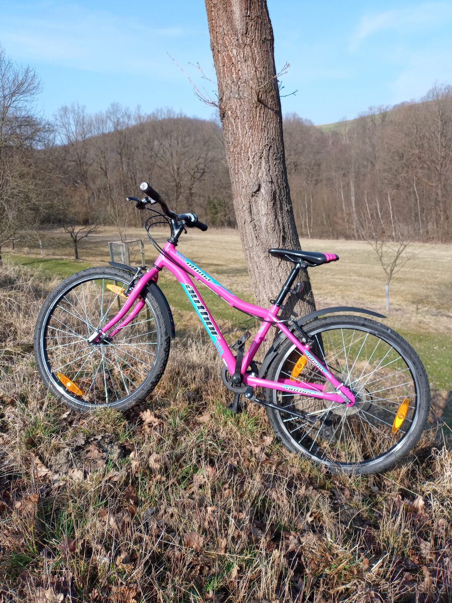 Dětské kolo 24 - 2