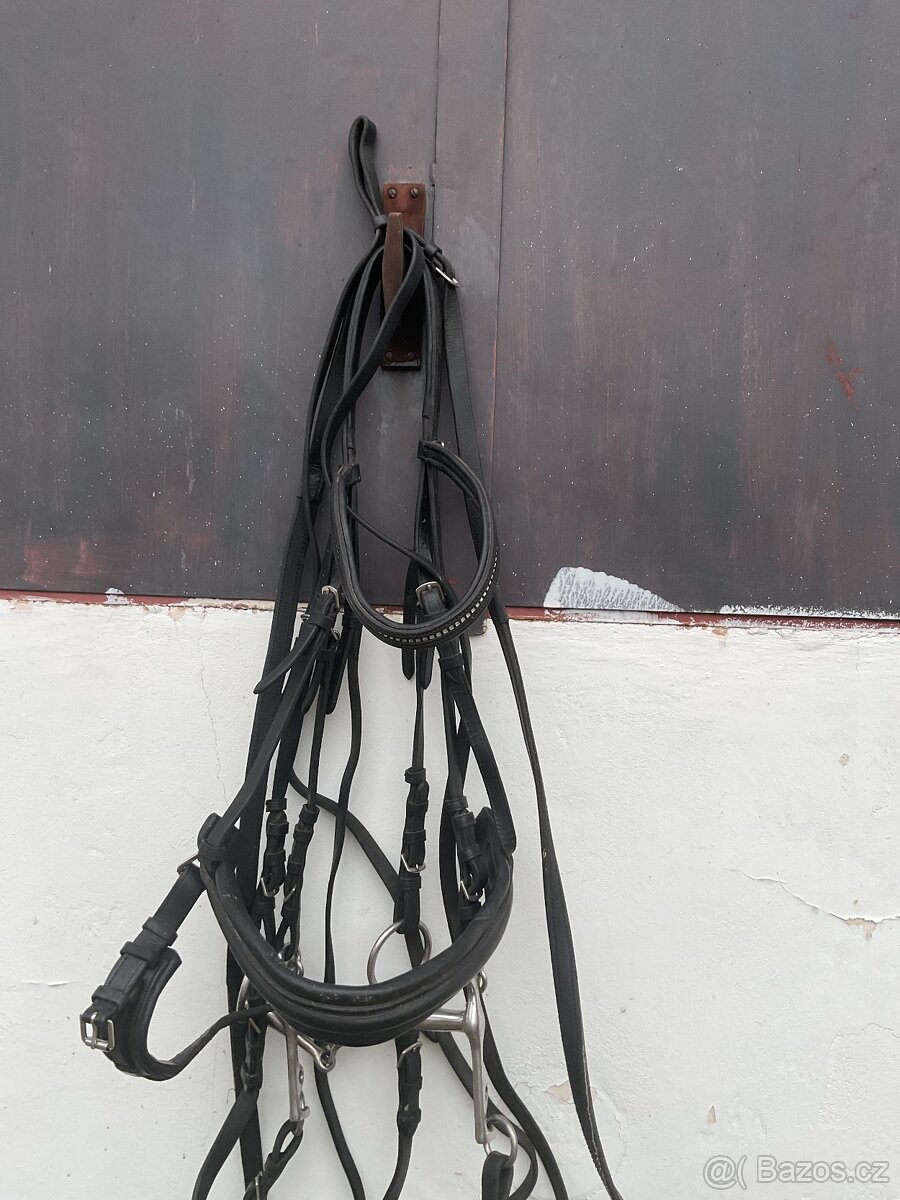 Drezurni uzda full - 2