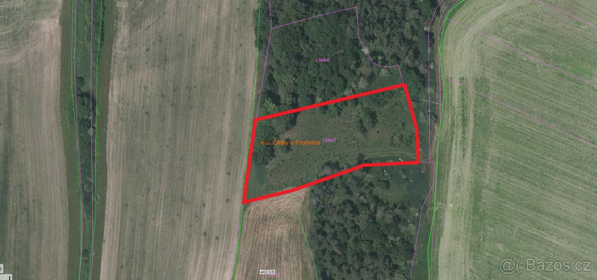 Prodej lesa u Protivína - 2