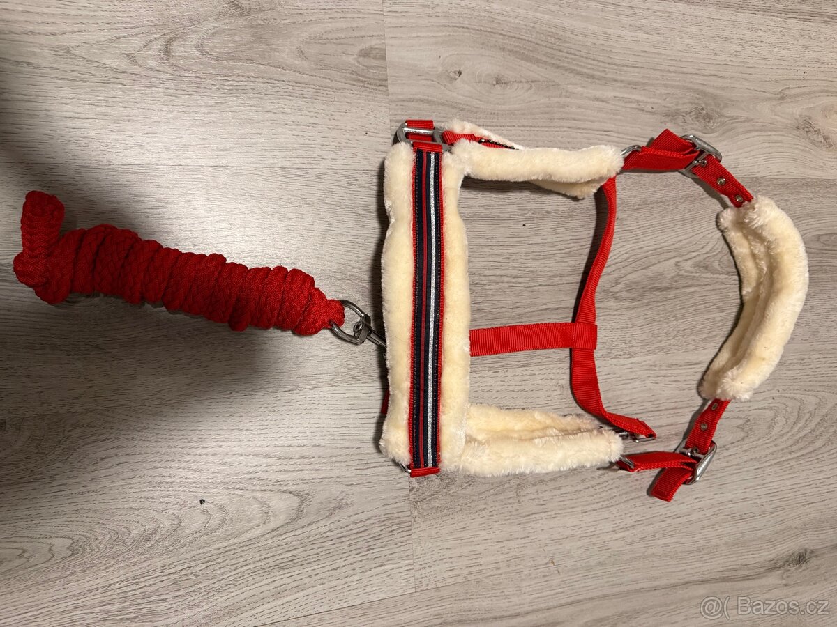 Ohlávka + vodítko - 2