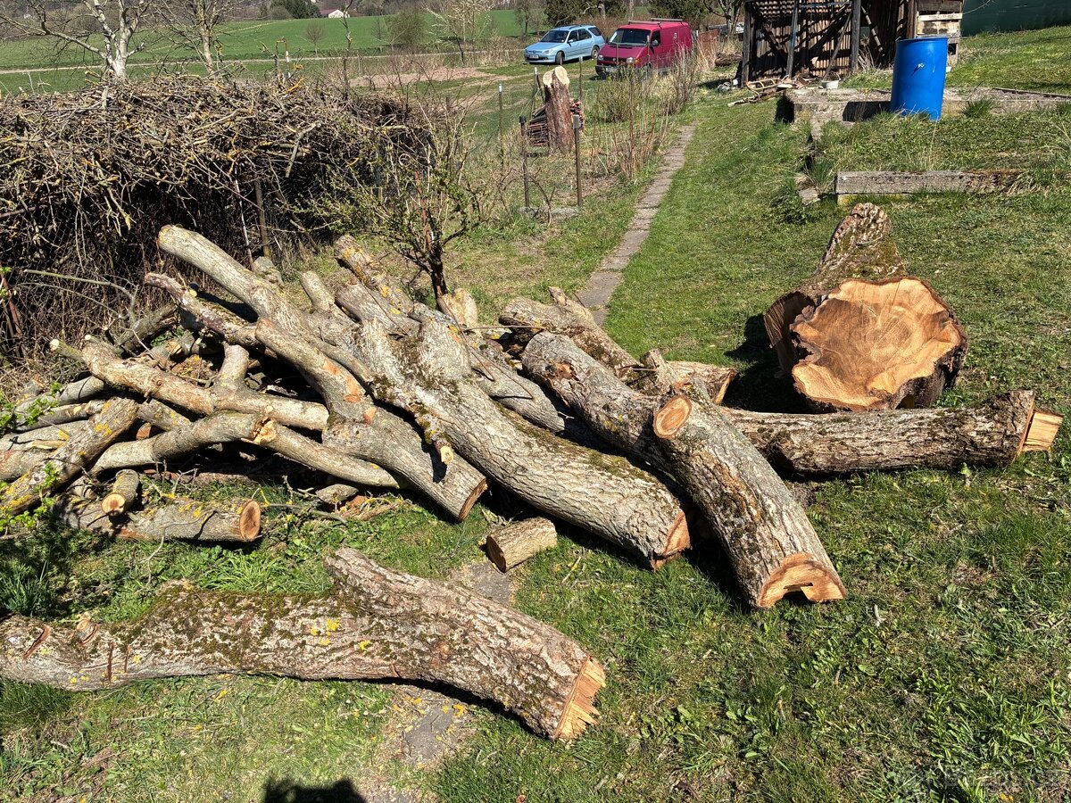 Ořechové dřevo - 2