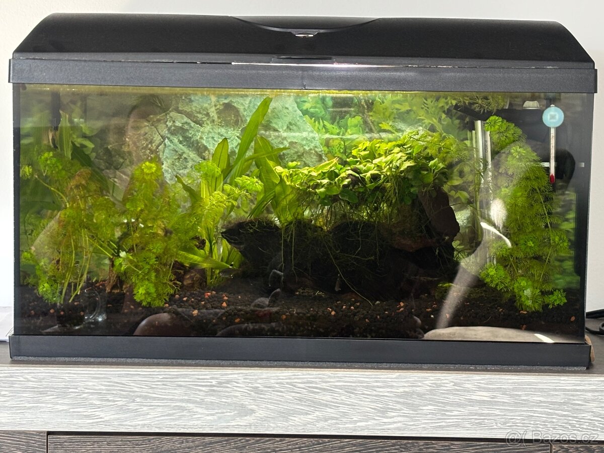Akvárium 54l - 2
