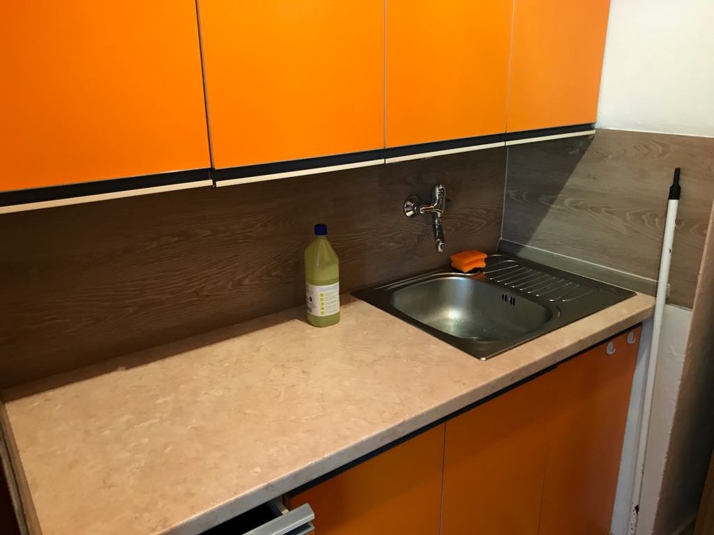 Pronajmu byt 1+1 ve Slavičíně - 2