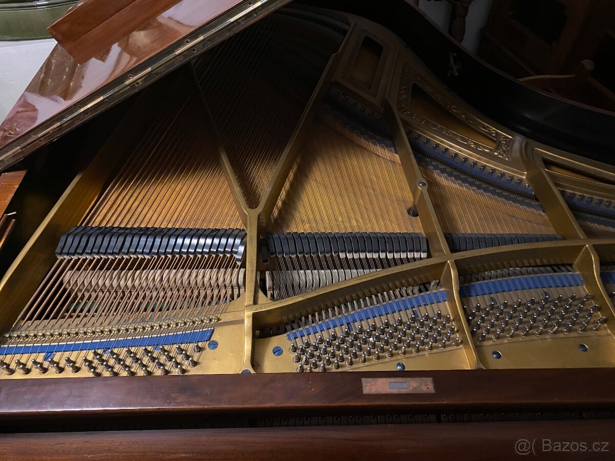 Klavírní křídlo - 2