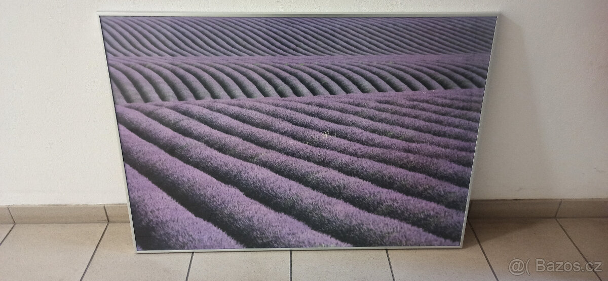 Obrazy Eifelovka + Provece levandule - 2