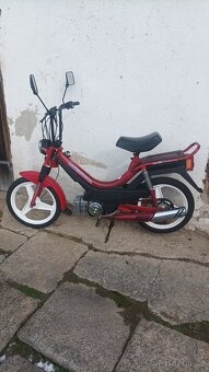 Korado manet - 2