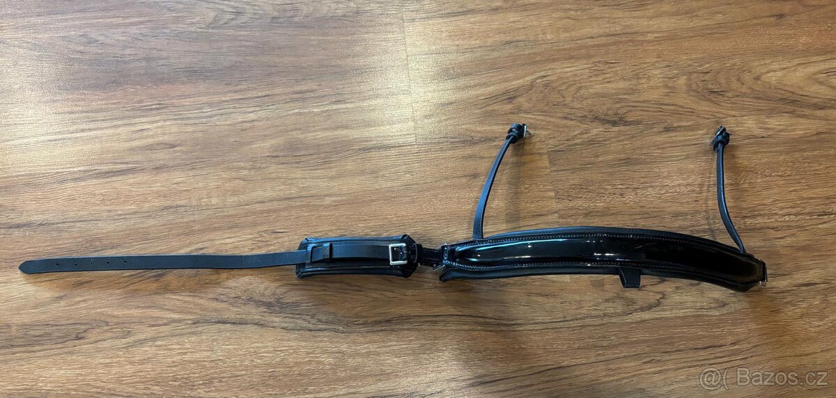 Lesklý nánosník - 2