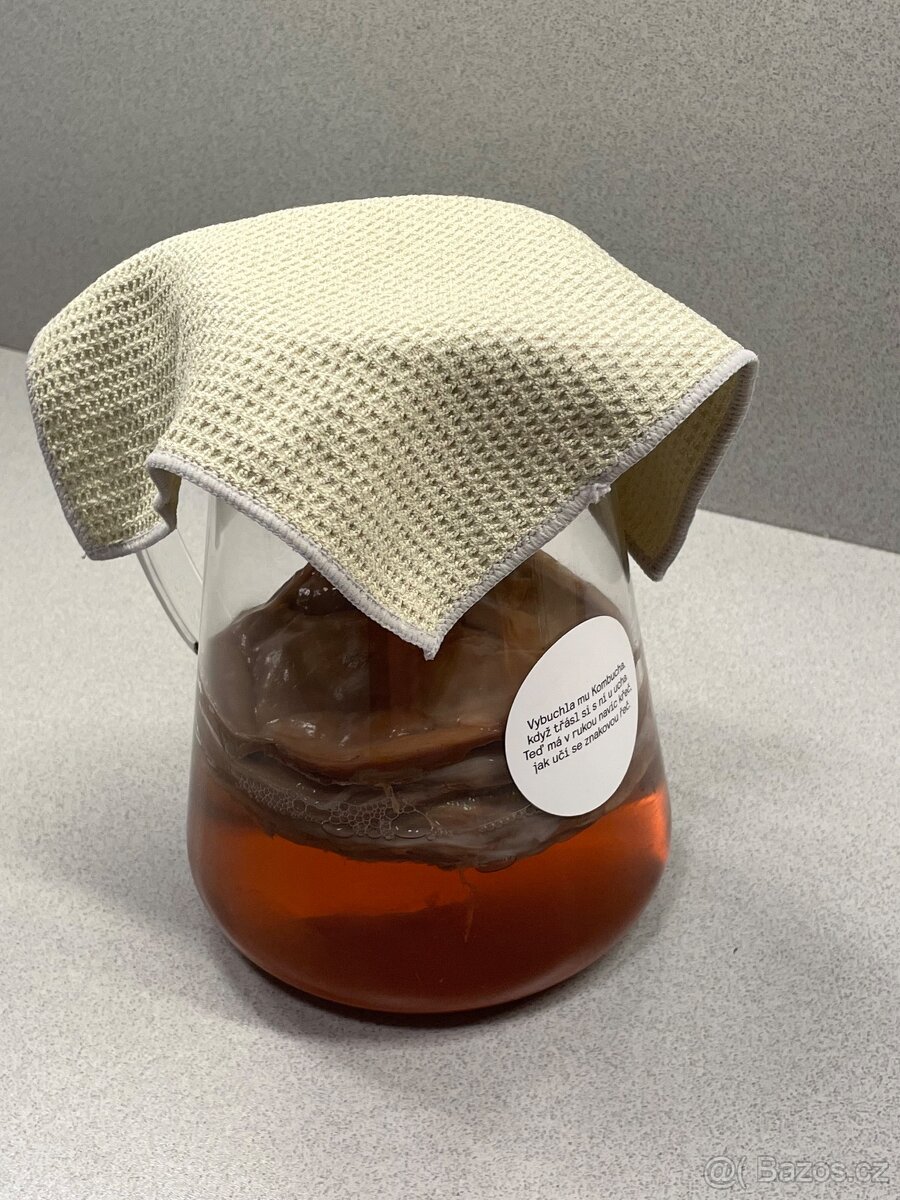 Kombucha - 2