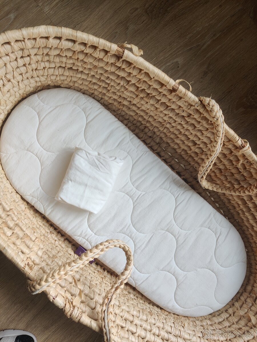 Mojžíšův koš - 2