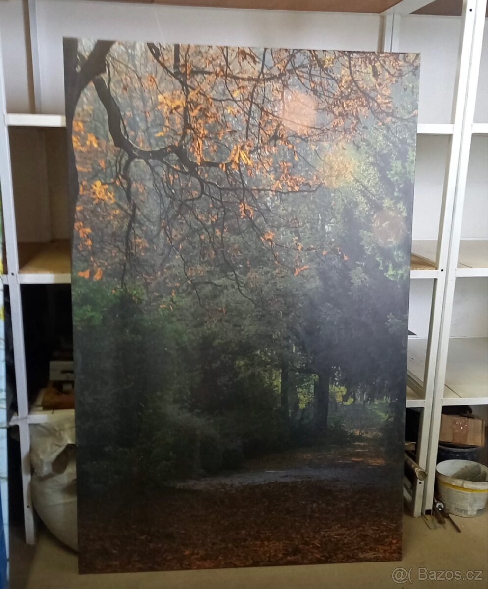 Obraz na plátně - 2