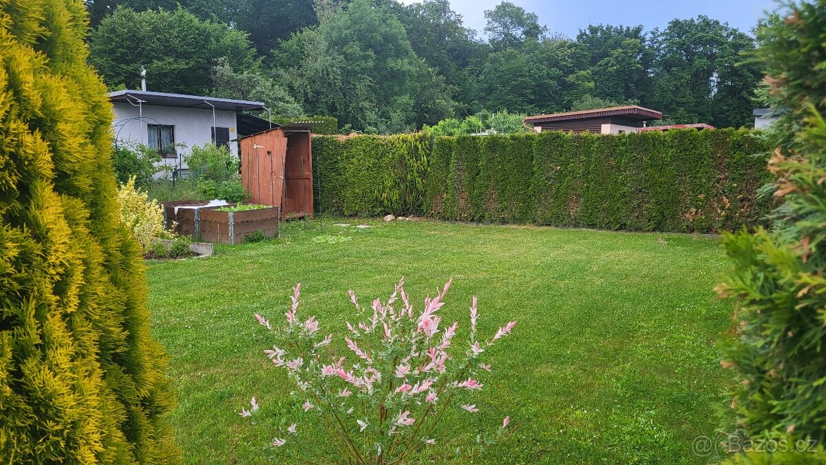 Prodej zahrady 260 m² - 2