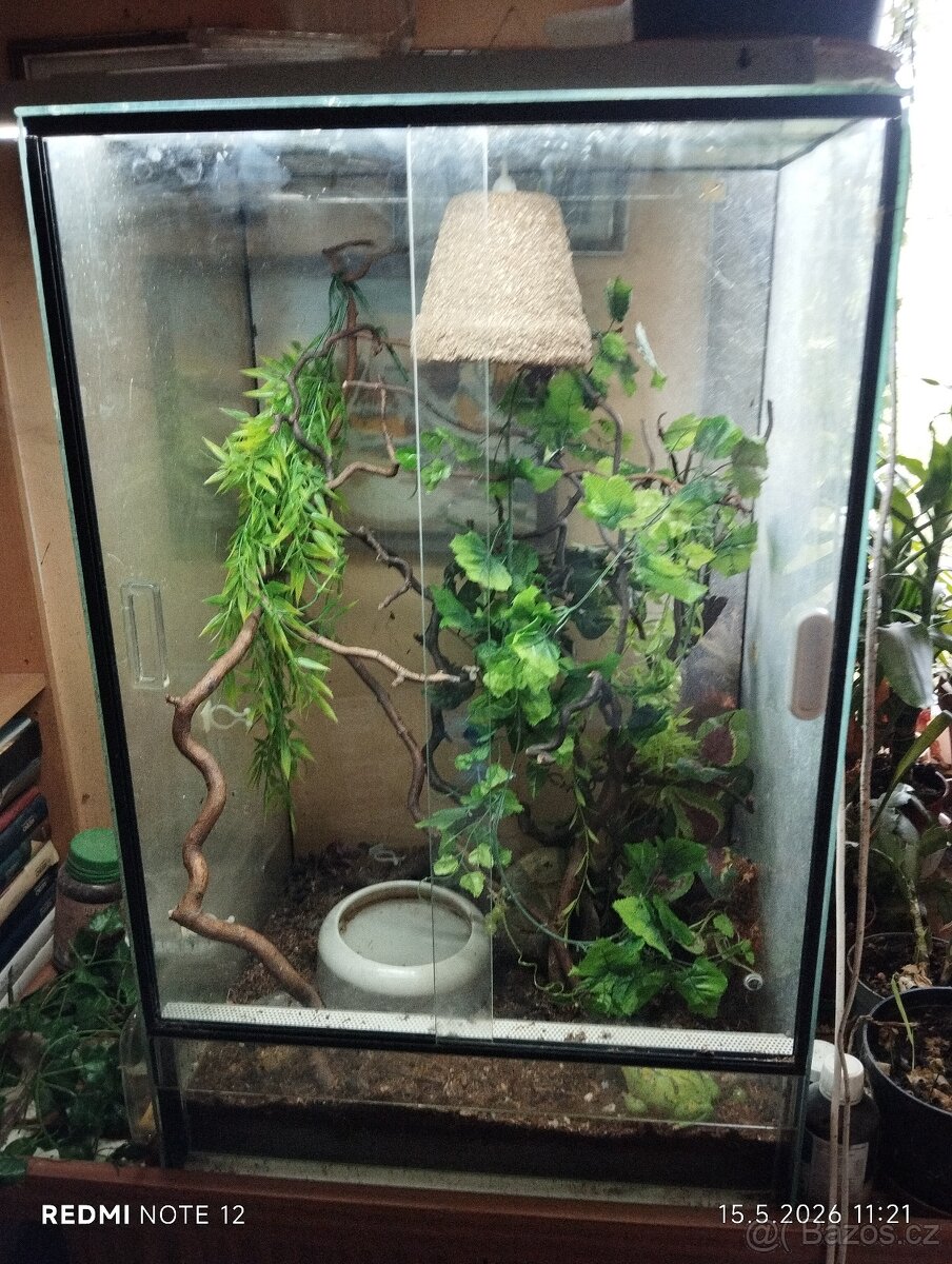 Terarium - 2
