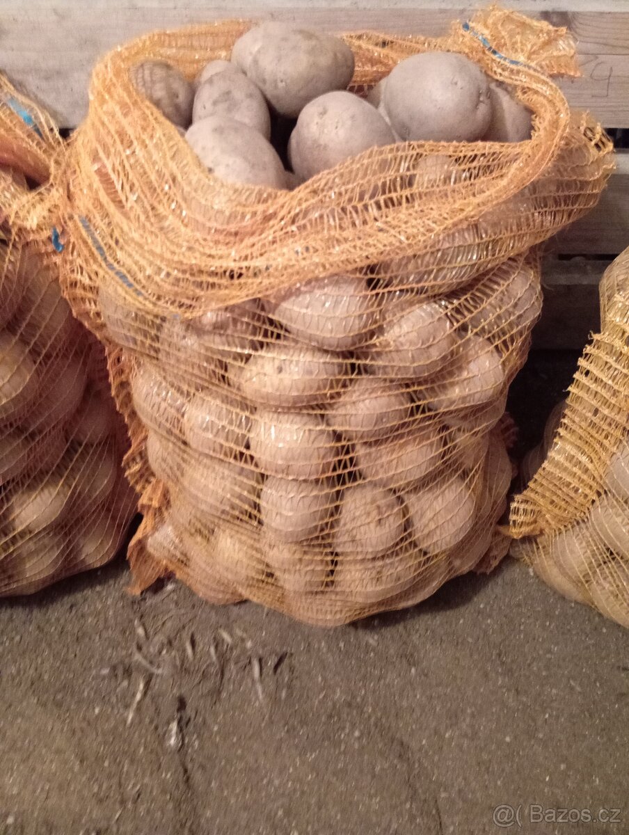 Brambory Anuschka - 2