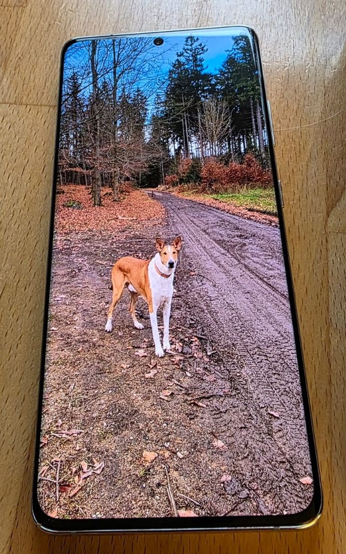 Samsung S21 Ultra 5G + SPen - 2