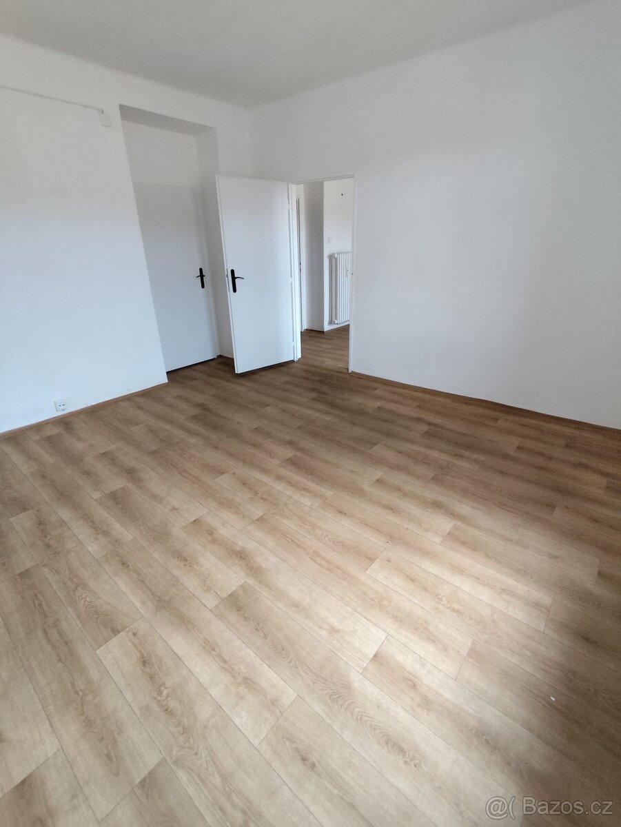 Pronájem - 2
