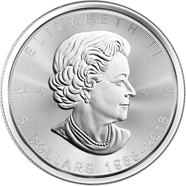 Stříbrná mince 1oz - 2