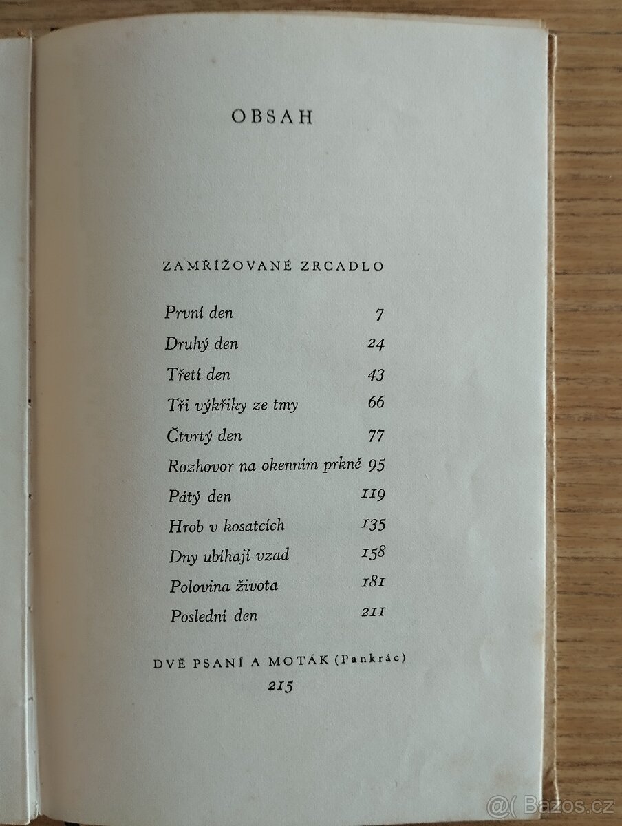 Zamřížované zrcadlo - 2