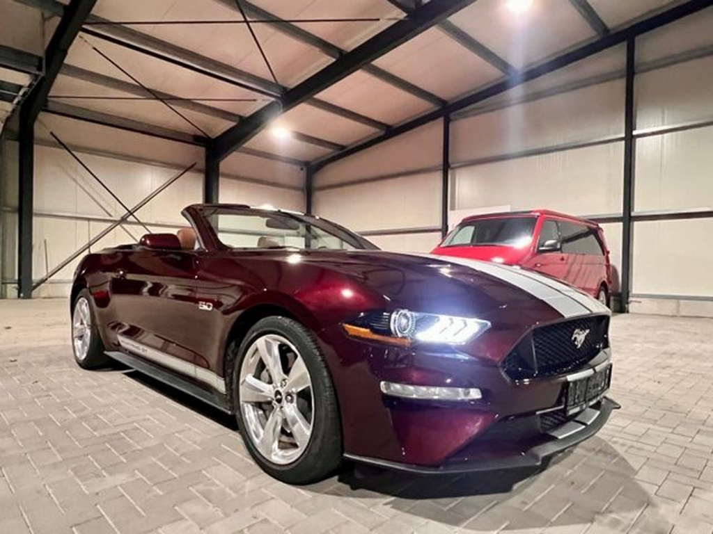 Ford Mustang 5.0 V8 Cabrio (č. 1195) - 2
