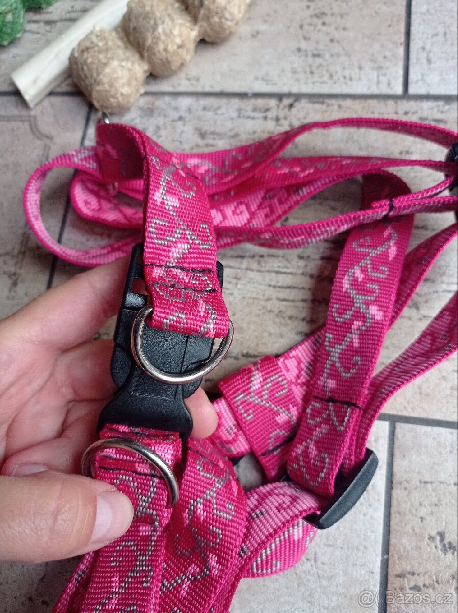 Nová postroj včetně hračky a pamlsků - 2