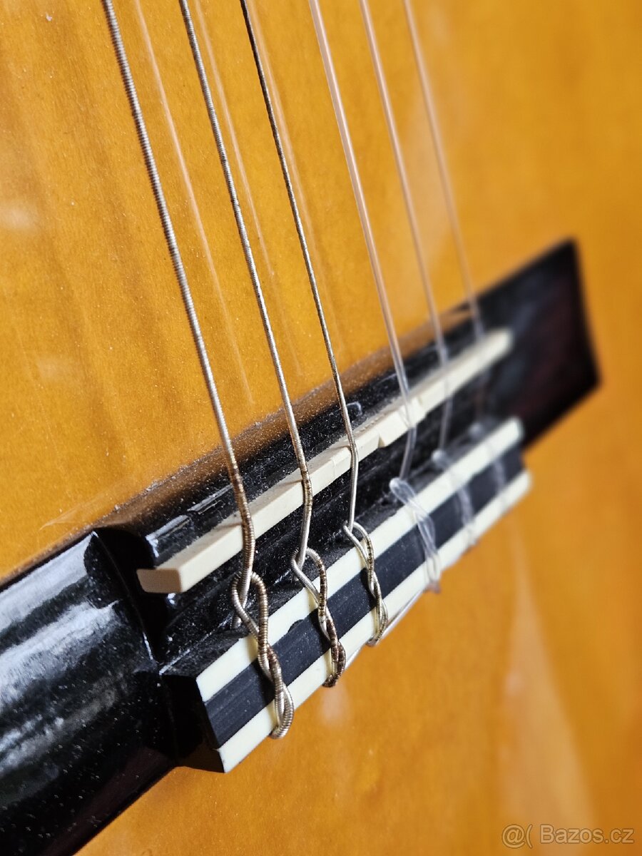 Akustická kytara Valencia s pouzdrem - 2